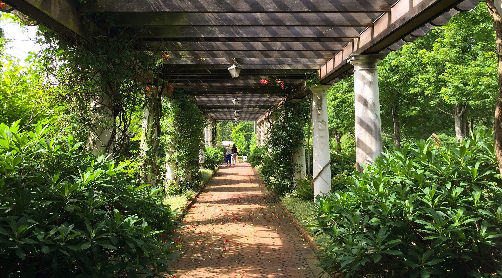 Visit Daniel Stowe Botanical Garden